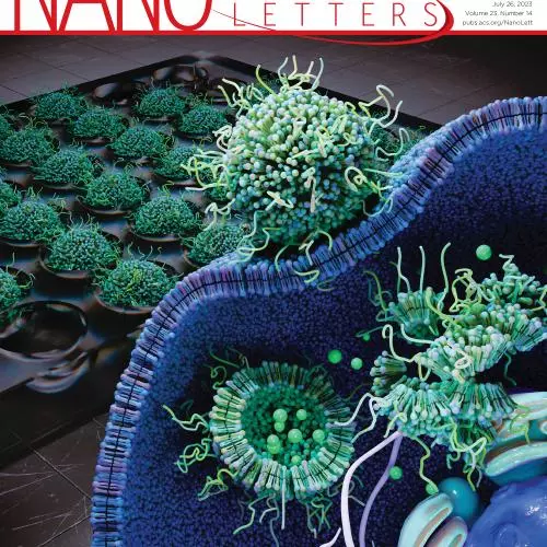 nanopackaging nano letters