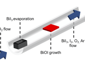 bioi cvd