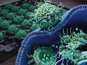 nanopackaging nano letters
