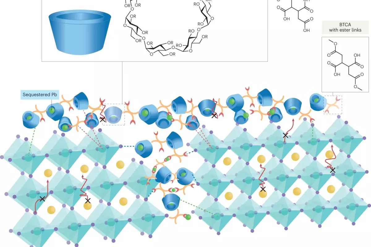 supramolecular complexes
